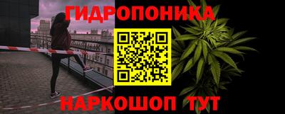 амф Лесосибирск
