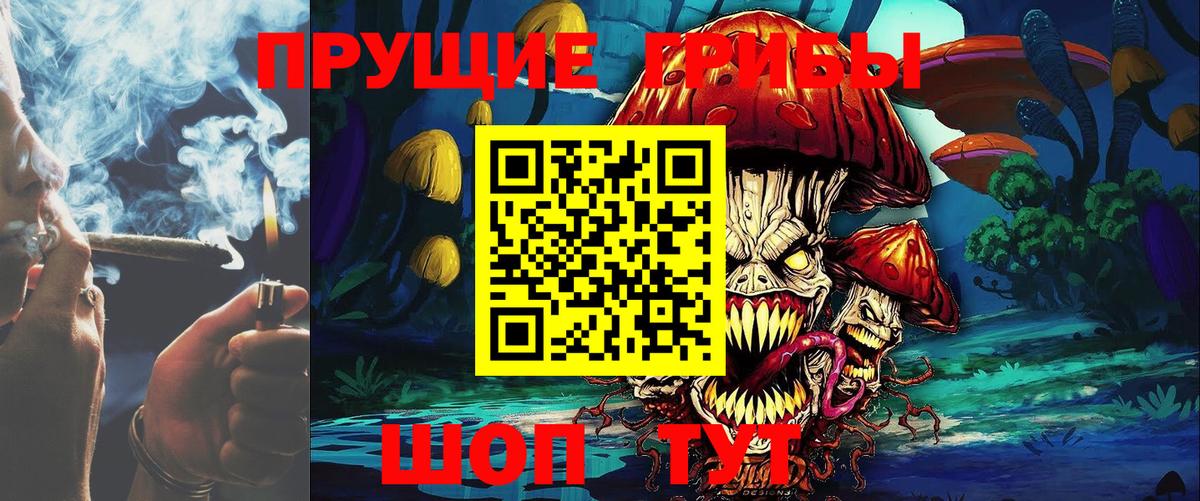 Заводоуковск  Псилоцибиновые грибы мицелий  Вход с VPN 