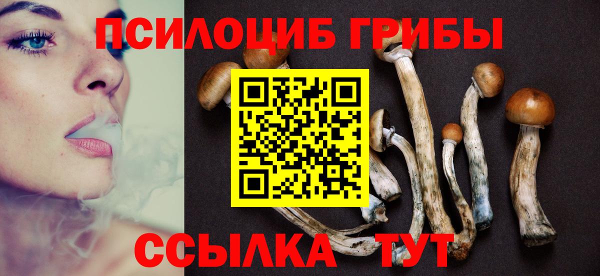 Галлюциногенные грибы GOLDEN TEACHER Заводоуковск